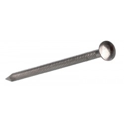 Clous bardage en vrac 2.5x50 tête bombée inox A4