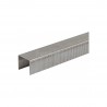 10000 agrafes 10 mm type 80 