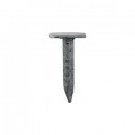 2130 clous en vrac 2.7 x 30 mm tête large 8 mm galva 50µ lisses 5kg